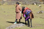 IMG 1014~photo