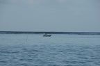 tahiti 804